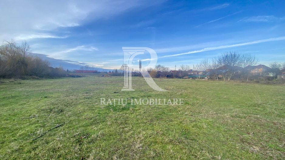 EXCLUSIV | TEREN INTRAVILAN | INVESTIȚIE | BEIUȘ – STR. PLOPILOR | 13.500 MP - Poză 3