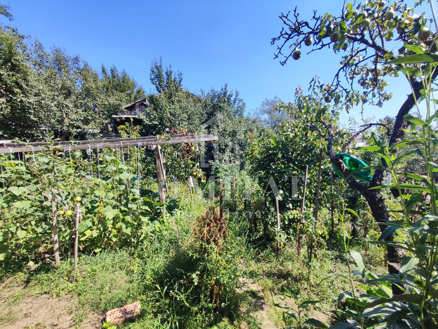 Casă cu 3 camere | 120 mp | Finisaje clasice | Dâmbul Rotund - Poză 11