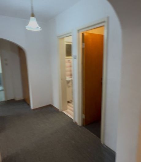 APARTAMENT LUMINOS ZONA TINERETULUI - Poză 5