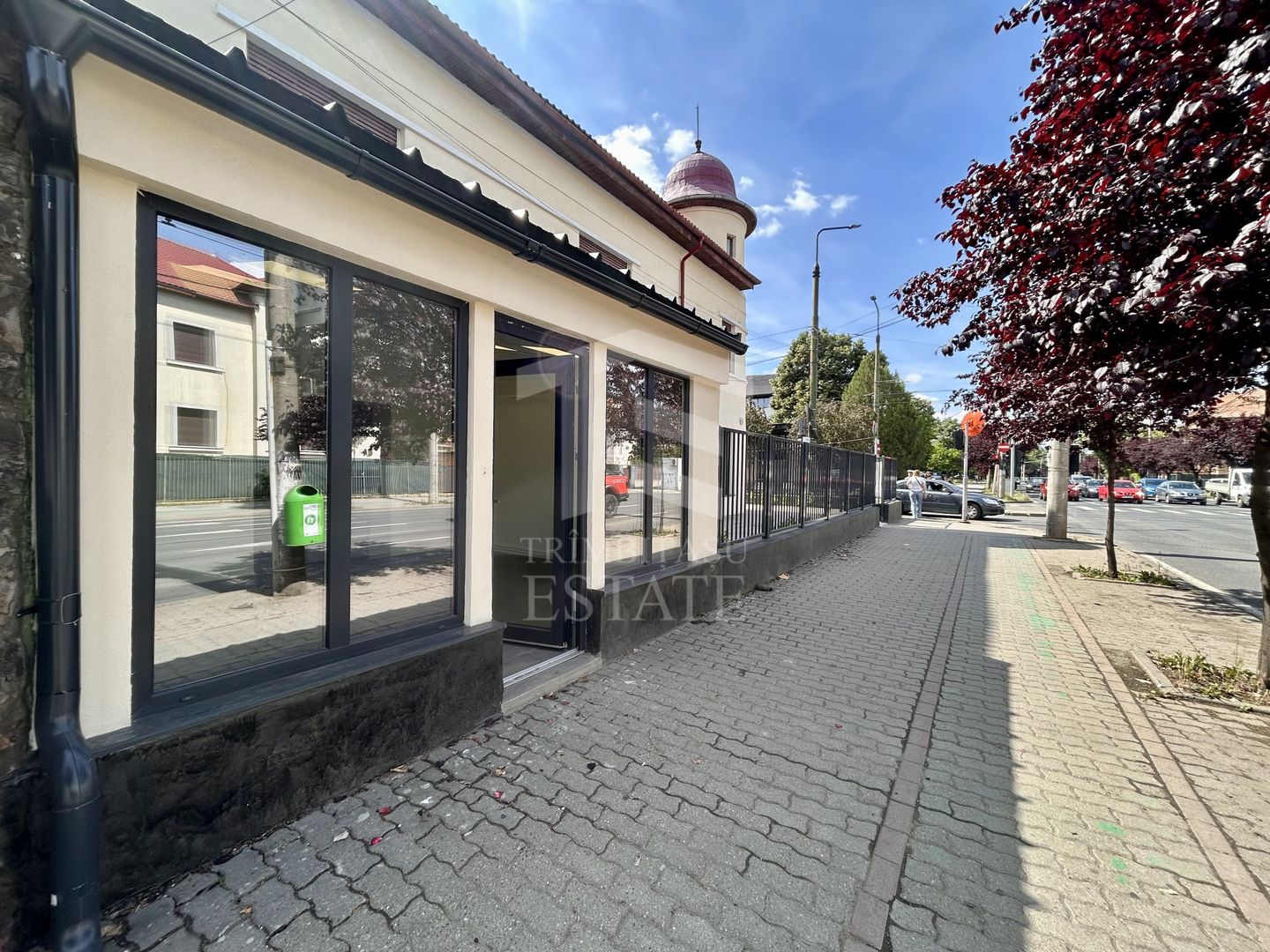 SAD 90 mp | Str. Cluj- Aries | VAD auto si pietonal | trifazic - Poză 3
