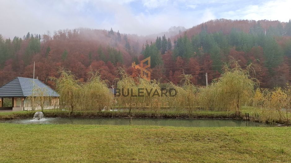 Proprietate cu potențial turistic în zona montană a Țării Lăpușului - Poză 7