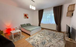 Apartament 1 camera | Etaj 1 | Decomandat | Terasa | Curte - Poză 2