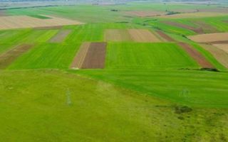 Teren agricol 5ha Giarmata langa Antena Radar - Poză 2