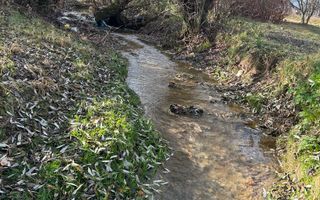 Teren cu potențial turistic I Cârțișoara I 1800 MP - Poză 5