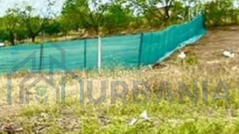 Teren Miroslava! - Poză 2