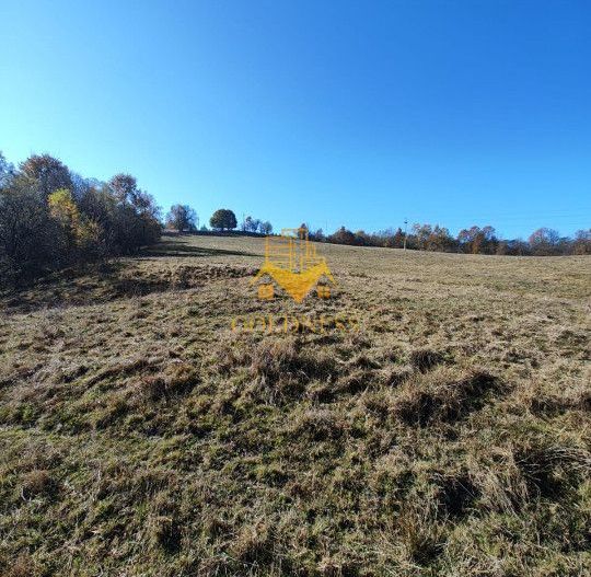 Teren de vanzare, intravilan, 16667 mp, Abrud, Jud. Alba - Poză 1