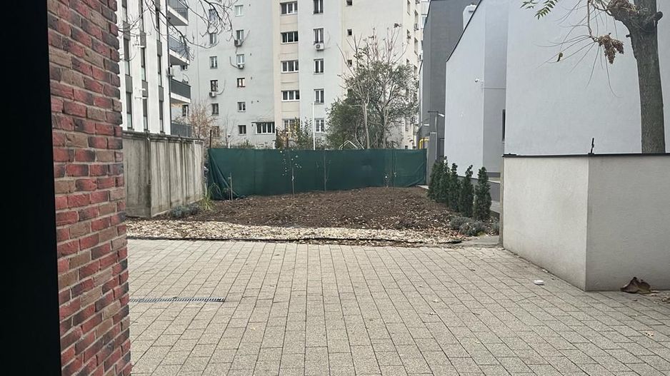 Vila modernista de închiriat  | Zona Calea Călărași | 4 locuri parcare - Poză 25