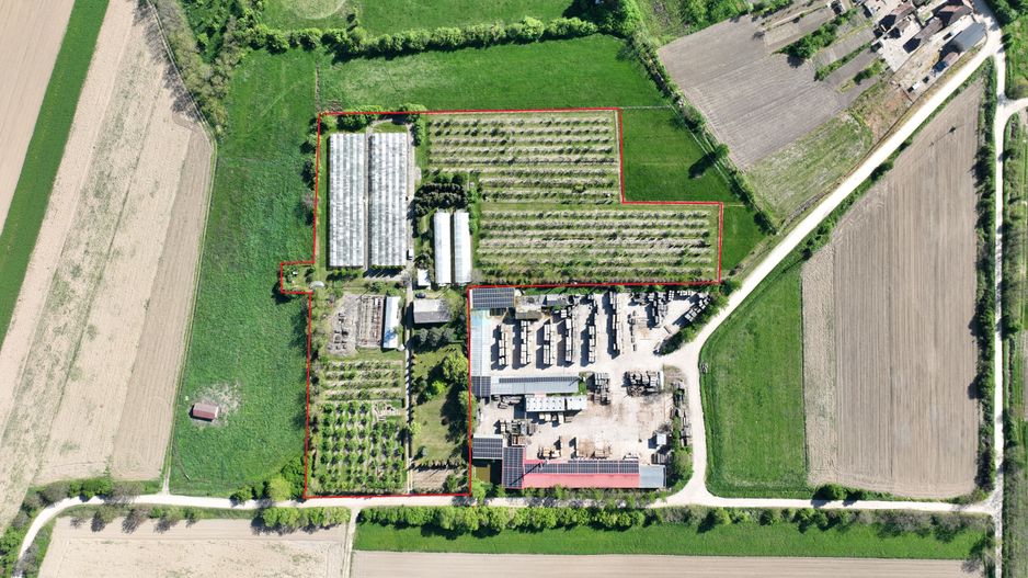 De vanzare Teren 20000MP cu sere/solarii și plantații - Poză 1