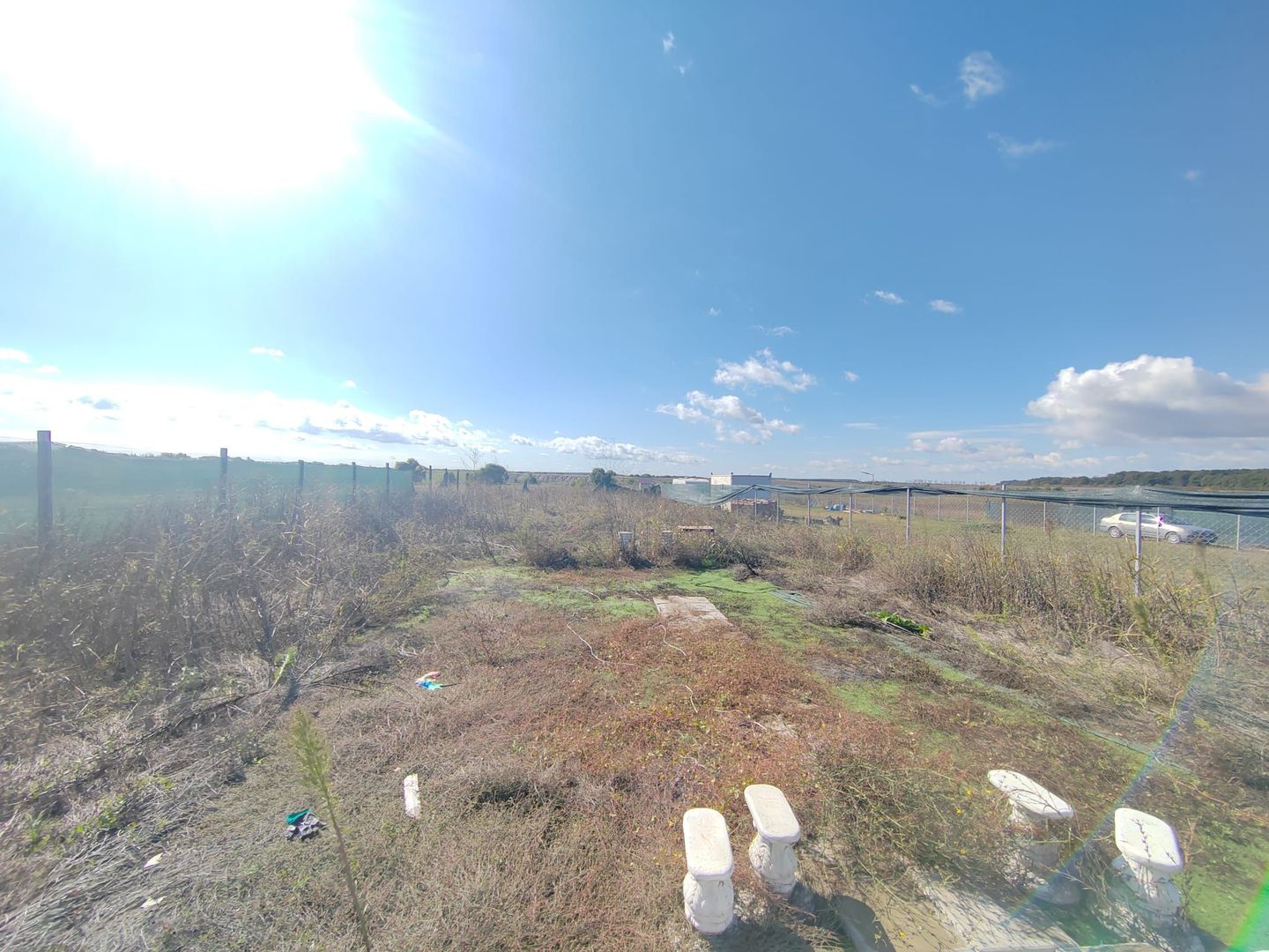 Gagu Dascalu teren ideal pentru investitie zona in dezvoltare - Poză 11