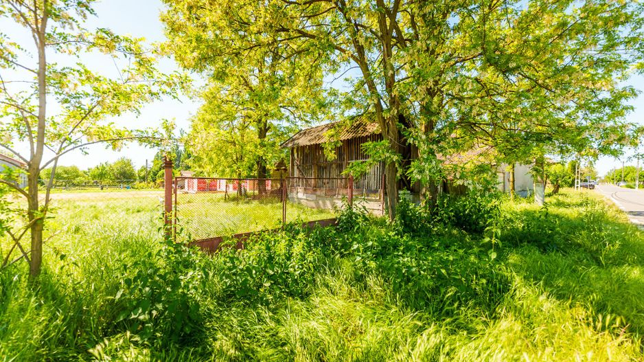 Casă cu potențial în Iratoș - Poză 15