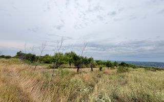 40 Ari Teren Agricol Ialoveni - Poză 3