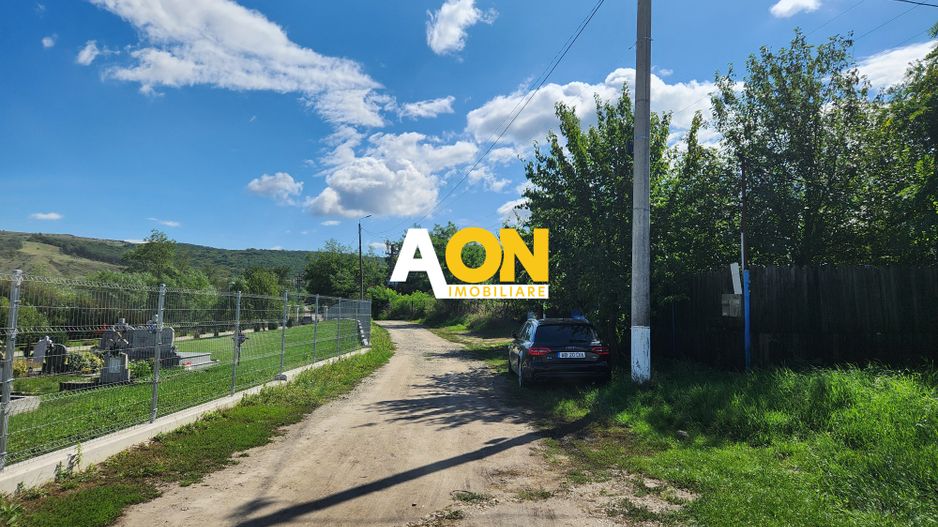 De vanzare 2965 mp teren intravilan, toate utilitatile, Oarda de Sus - Poză 12