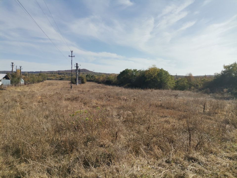 Vanzare teren arabil 22 Ha, plan, Arges, Moraresti - Poză 8