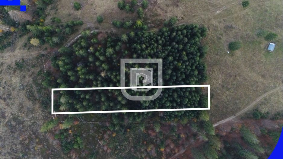 Teren situat in Frasin | BUCOVINA - Poză 3