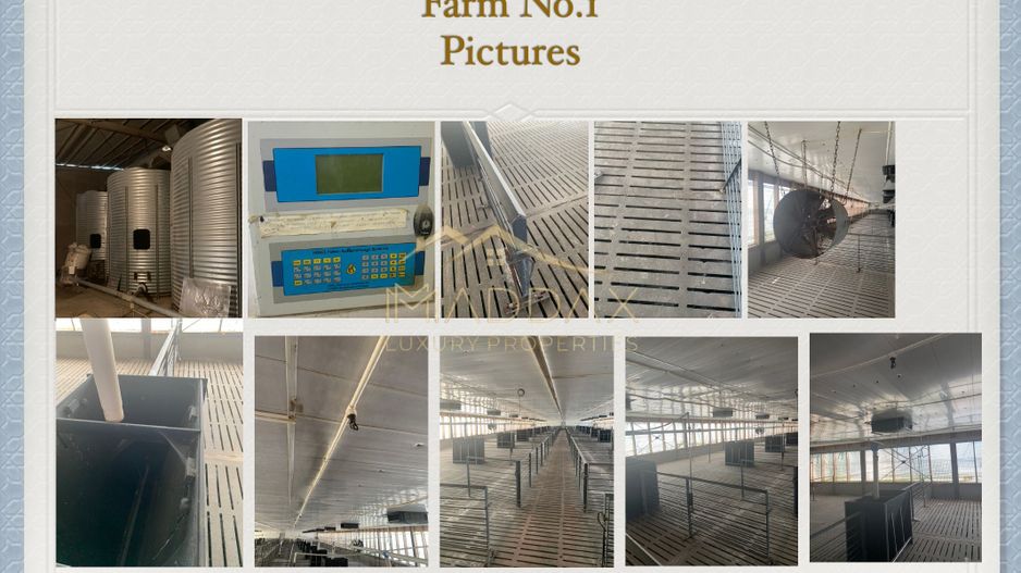 Investment Opportunity in Agriculture and Zootechnics 1000 ha near Targoviste - Poză 4