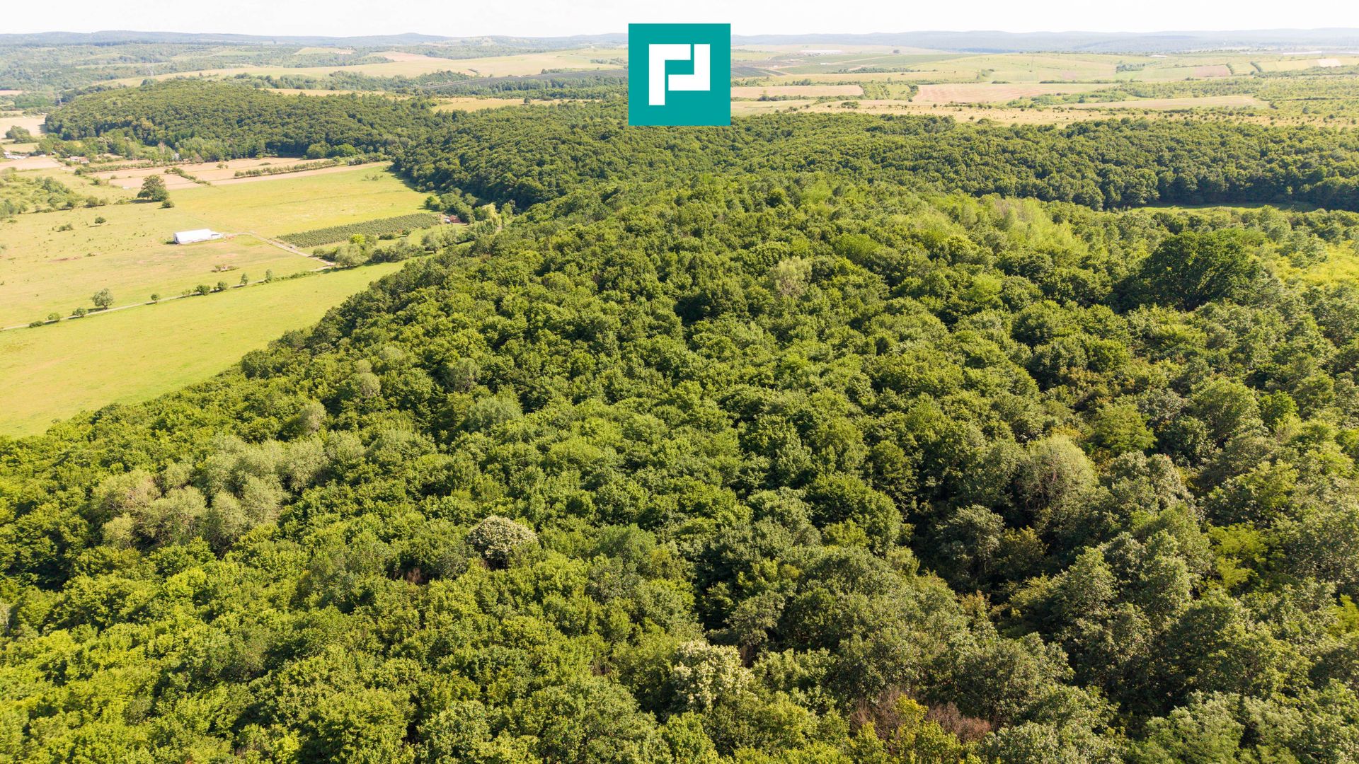 TEREN AGRICOL EXTRAVILAN  22.900 MP LIPOVA - Poză 18
