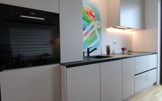 Ultracentral, prima inchiriere, Paltim. - Poză 5