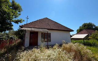 Casa de vanzare cu 11 ari de teren | Lapusel - Poză 1