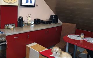 Apartament 3 Camere I Decomandat I Loc Parcare I Selimbar - Poză 7