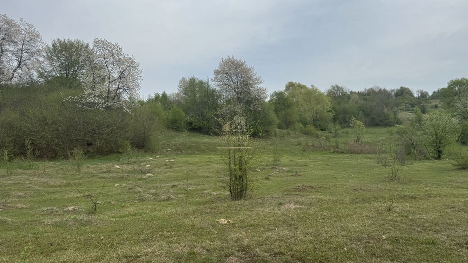 TEREN EXTRAVILAN 40000 MP, ALBESTI DE MUSCEL, CANDESTI - Poză 13