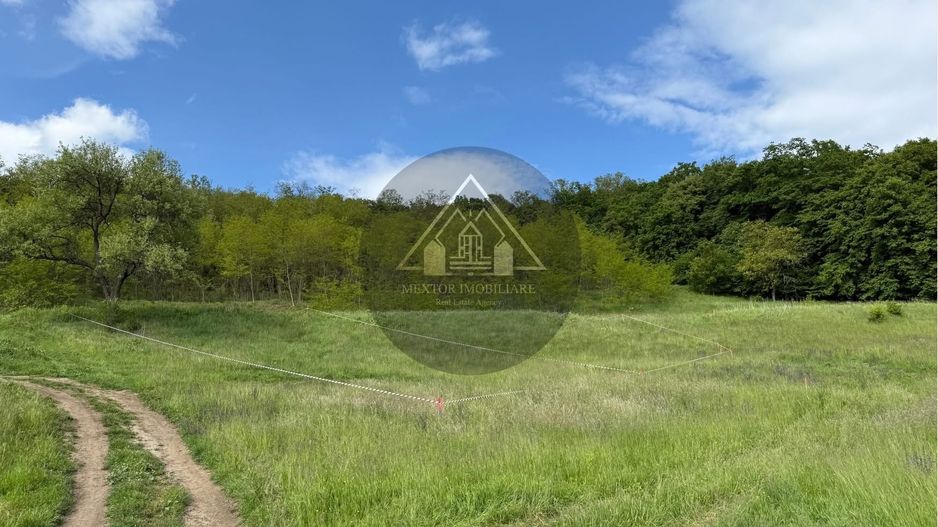 Teren de casa cu PUZ, Mosnei - Poză 4