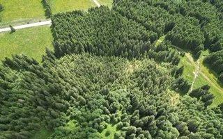 Teren extravilan 5000 MP Comandau - Poză 12