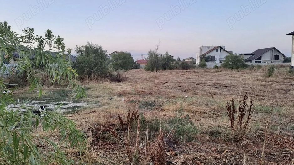 De vanzare teren intravilan 4685 mp, Cornetu-aproape de A0 - Poză 4