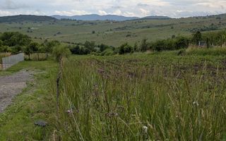 COMISION 0% Teren 3004 mp cu utilitati-cota drum-Dealul Budacului - Poză 5