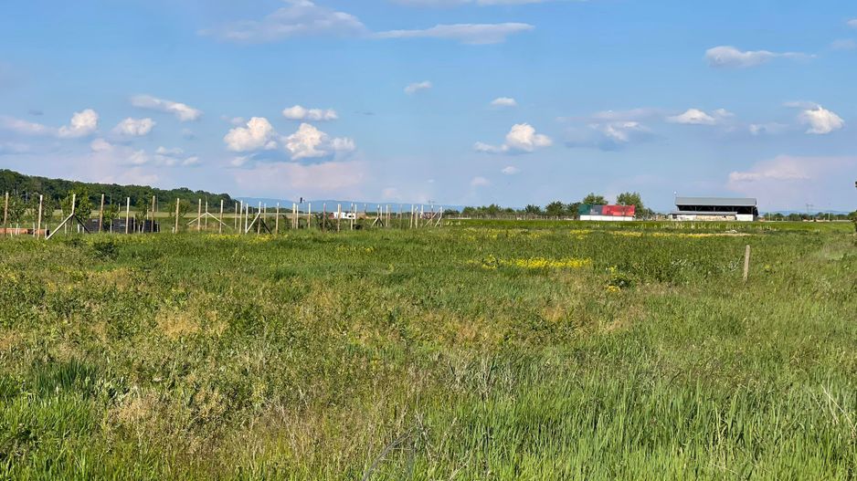 Parcele teren Nojorid 600 mp. 28 500 E neg. Comision 0 - Poză 4