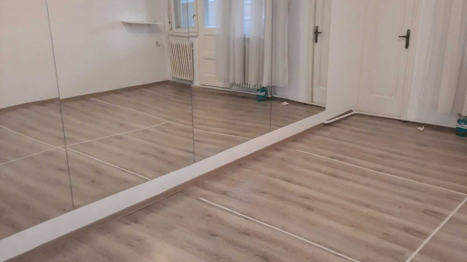 Mihai Bravu,spit. Victor Babeș - Poză 8