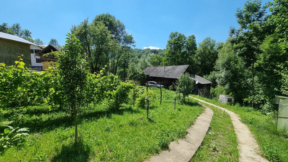 Casa de la marginea padurii! - Poză 11