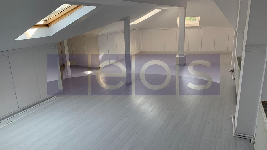 VANZARE - VILA 9 CAMERE  - Vasile Lascar, Mihai Eminescu, Bd. Dacia - Poză 14