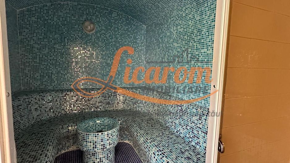 Casa saseasca CRISTIAN,amenajata LUX,pt turism,piscina,curte - Poză 22