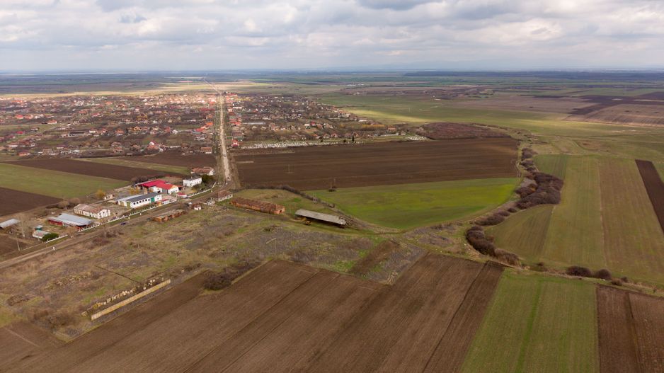 Fermă cu teren intravilan de 35000 mp în Mișca - Poză 4