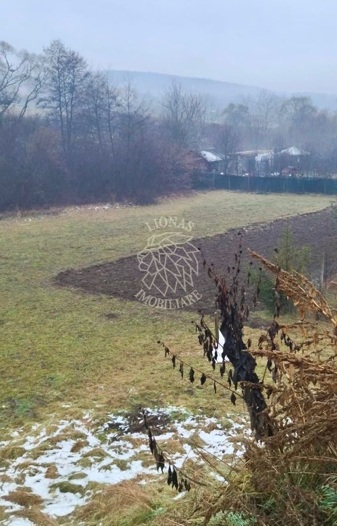 Teren intravilan 2503 mp cu utilitati-ideal casa-Ghinda - Poză 3