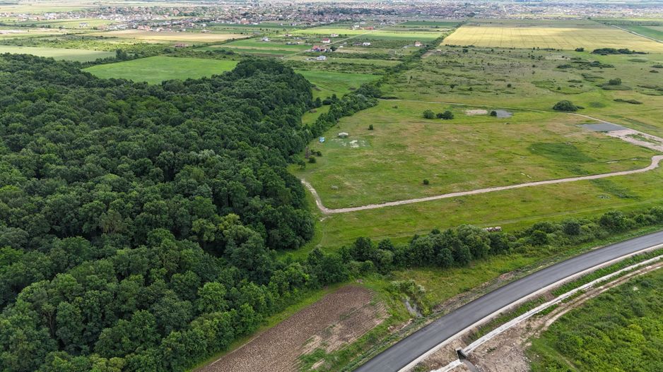 TERENURI PADUREA BISTRA - Poză 3