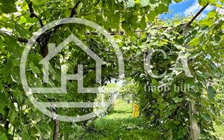 Casă de vânzare cu 3 camere în Ineu de Criș, Bihor - Poză 12