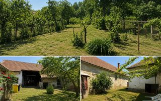 Casa de 3 camere,  Axente Sever - Poză 9