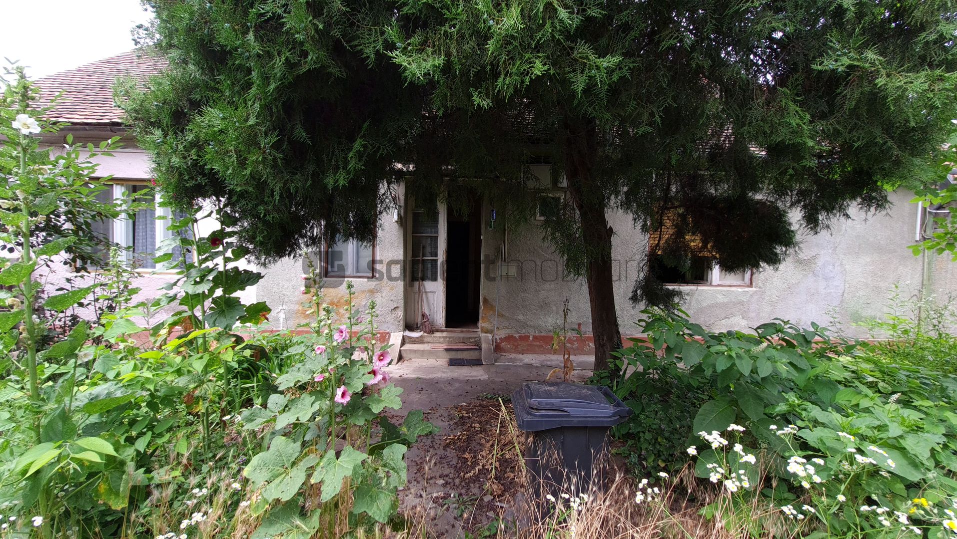 SAPIENT - DE VÂNZARE CASĂ ULTRACENTRAL - STR. CASTANILOR - Poză 4