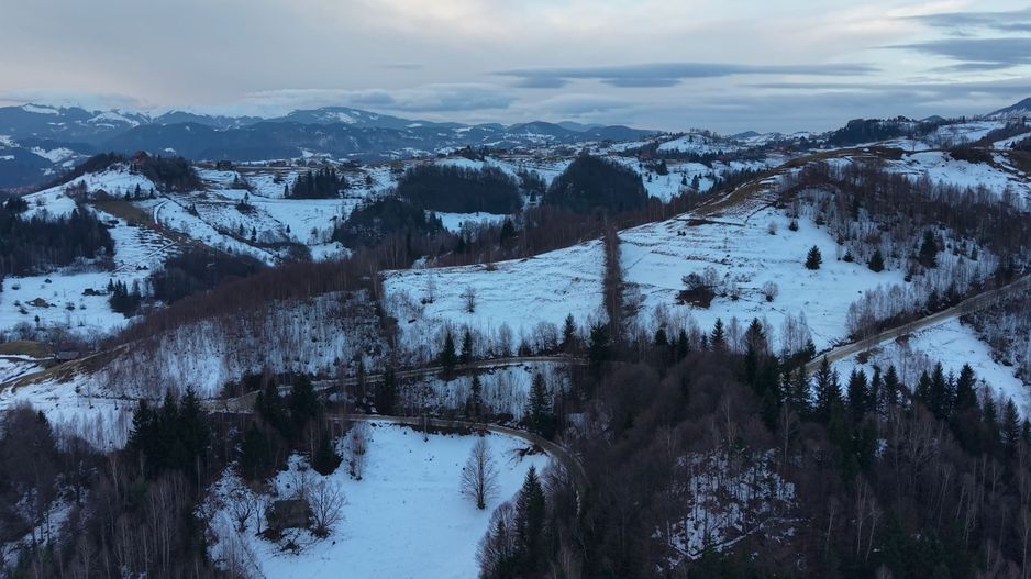 Teren de vânzare – Peștera Măgura Moeciu - Poză 5