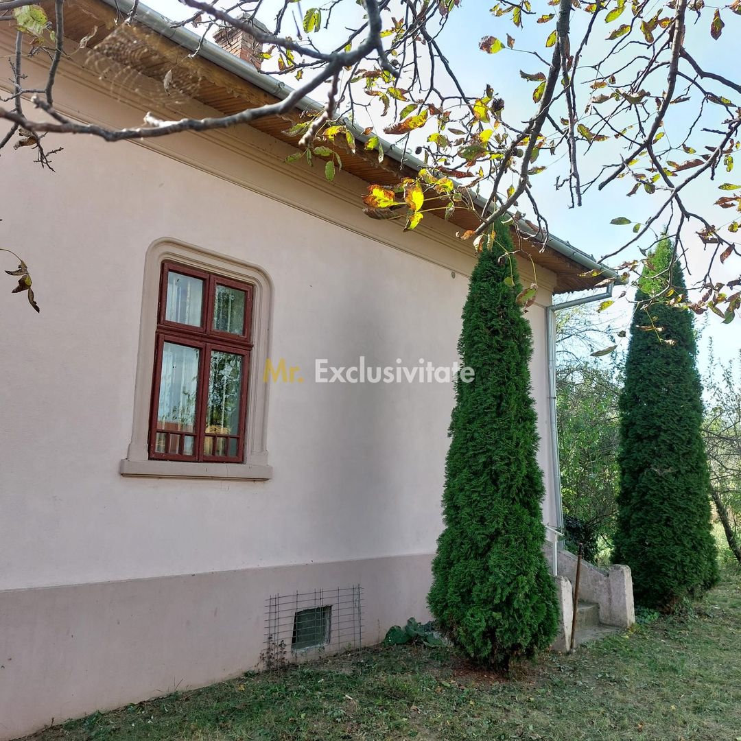Casă individuală cu 4 camere în Burila Mare, jud. Mehedinți - Poză 39