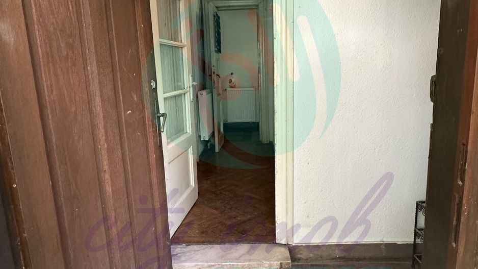 Vila boema in VATRA LUMINOASA - Poză 9