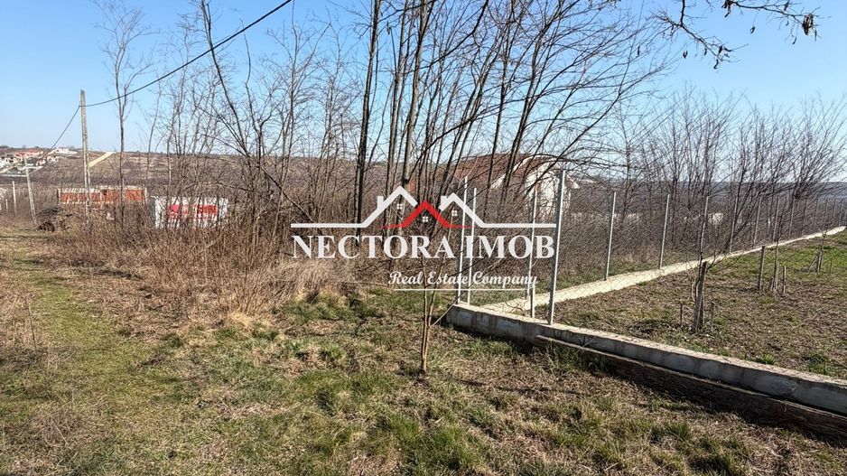NECTORA IMOB-Teren Intravilan Lac Paleu, 886 mp, Front 27 ml,Utilitati - Poză 4