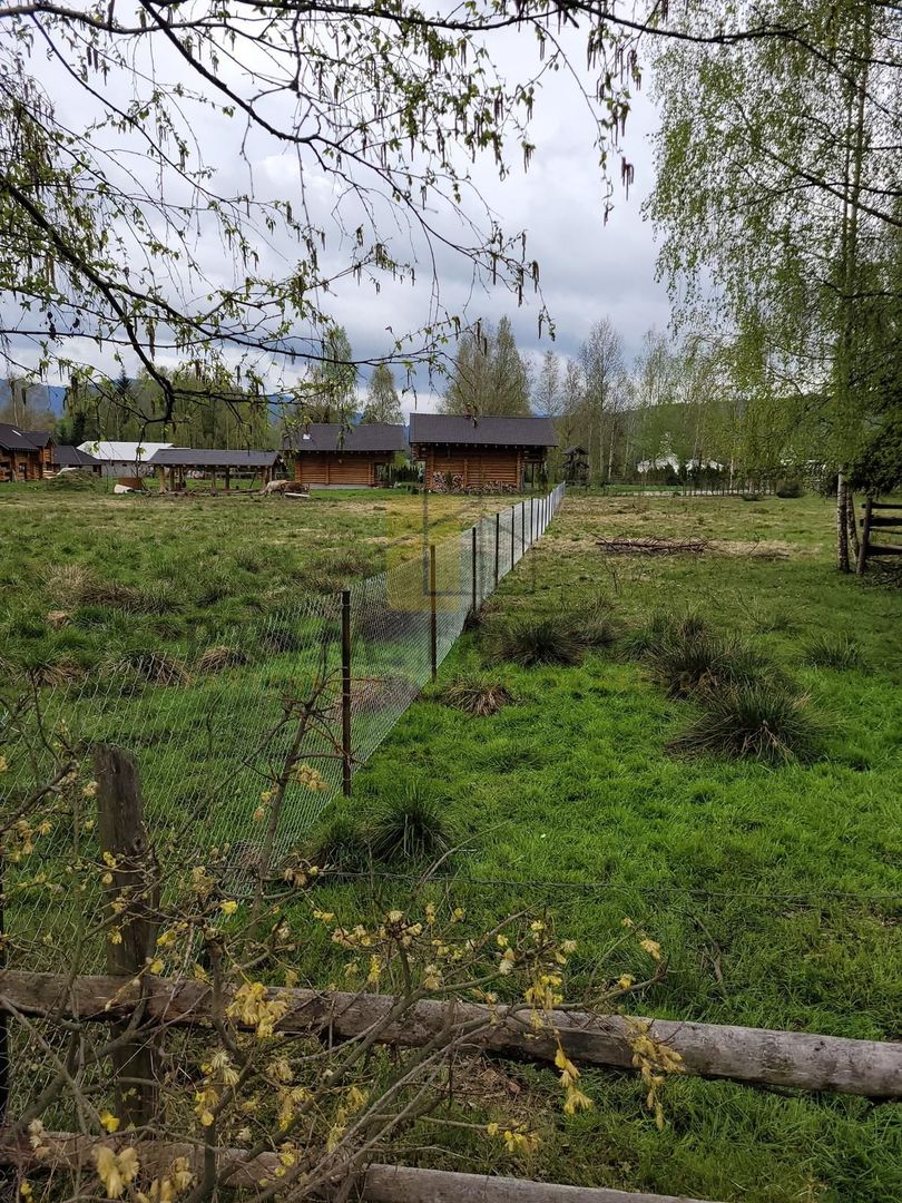 Teren Saru Dornei / Neagra Sarului - oportunitate investitie - Poză 3