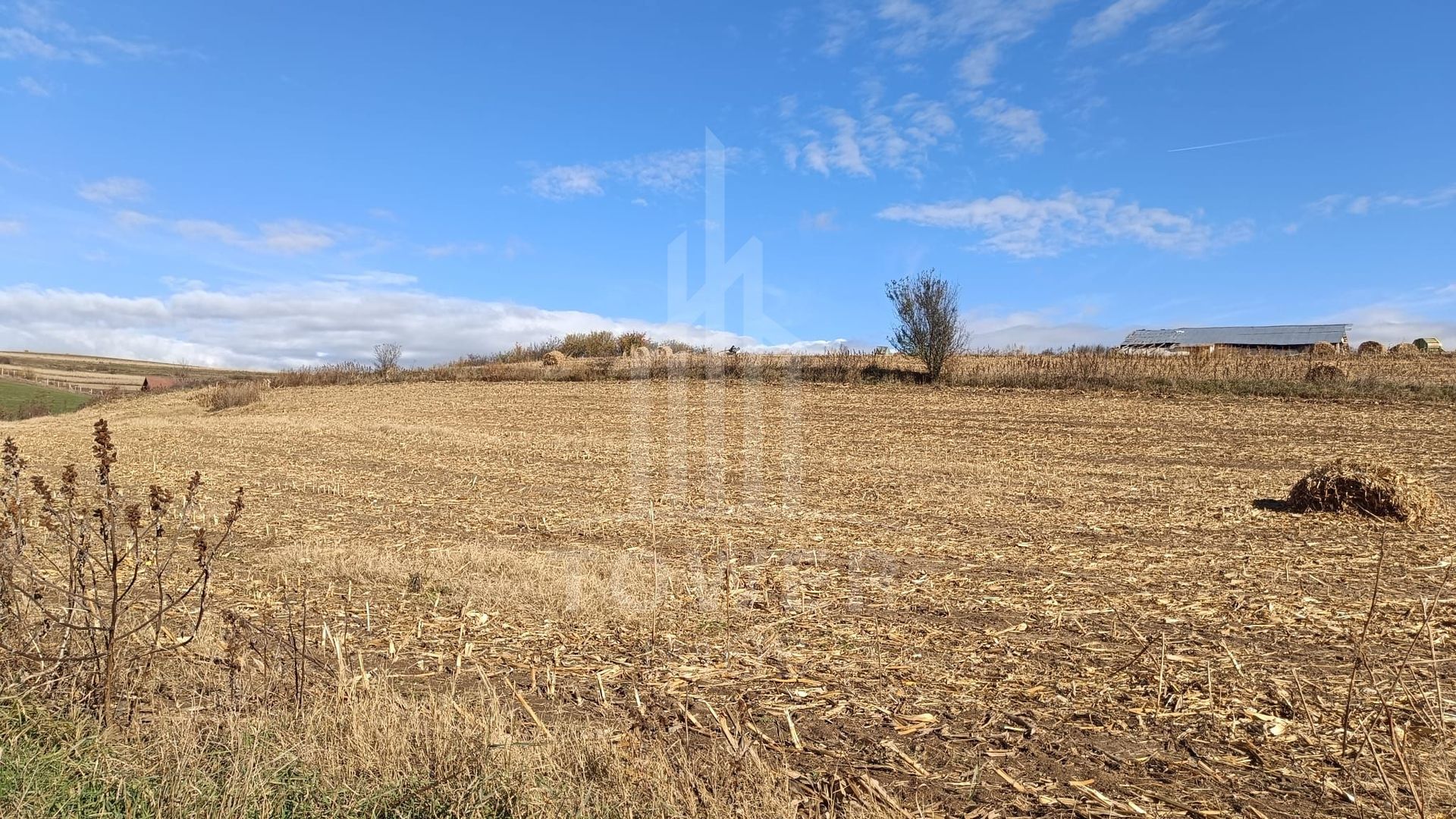 Teren extravilan in Sura Mare - Poză 1