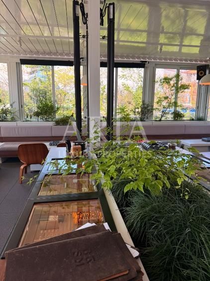 Commercial space | Restaurant | Terasa | Parking - Poză 7