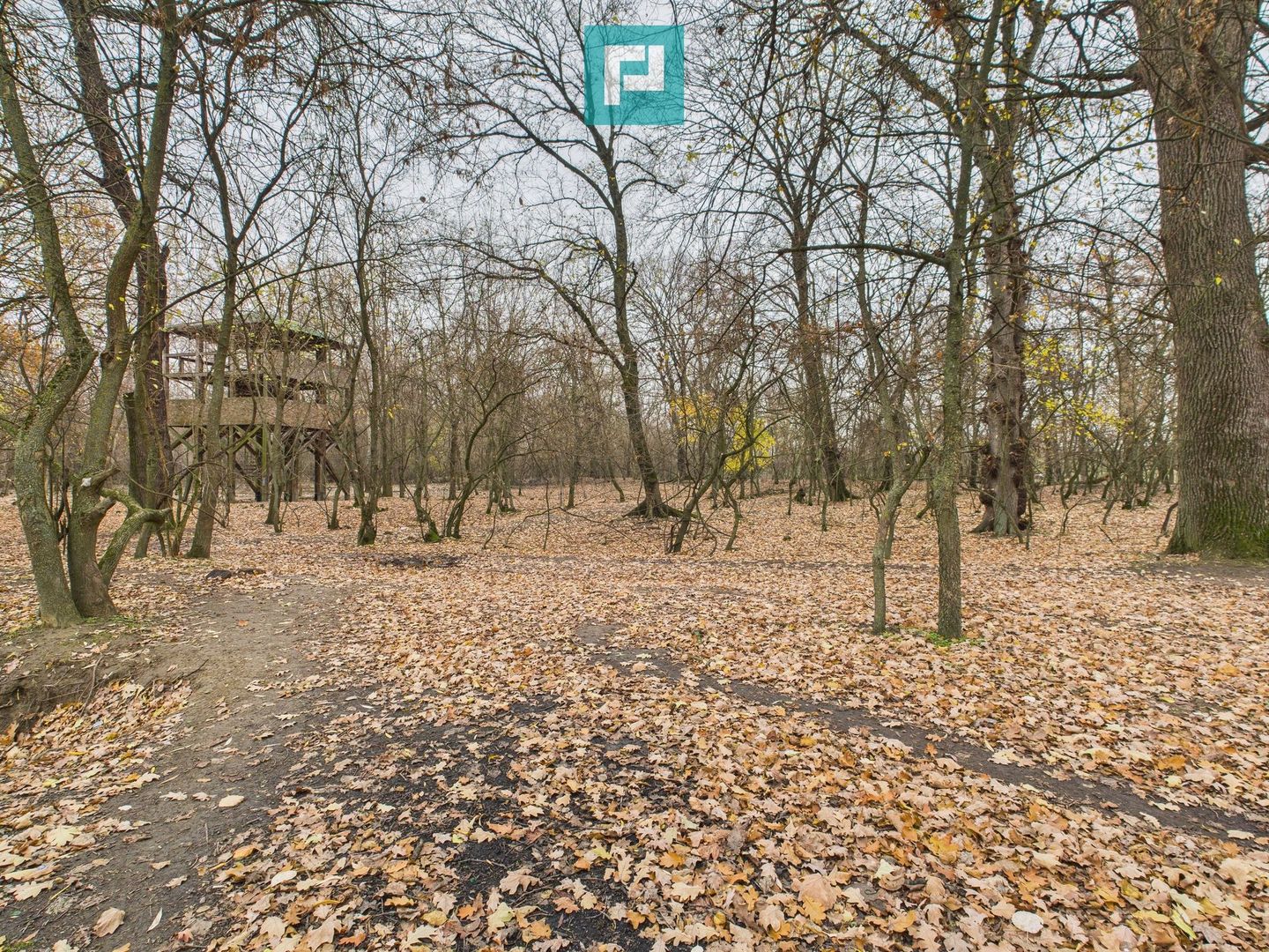 Teren spectaculos la  Periam Port - Poză 21