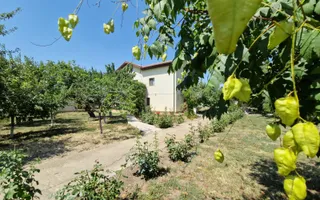 CASA P +E  5 camere -Cosoveni - Poză 16