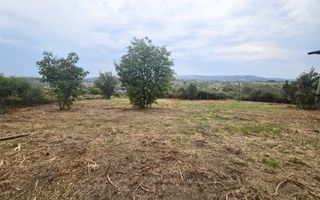 Casă de vânzare, 220 mp, teren 1000 mp, intravilan, Mănăstirea Cetățuia, Iași - Poză 4