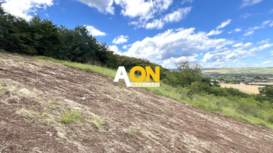 Teren sub padure cu o priveliste deosebita, 1500mp - Poză 8